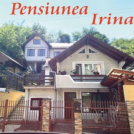 Pensiunea Irina Sângeorz-Băi Exterior foto