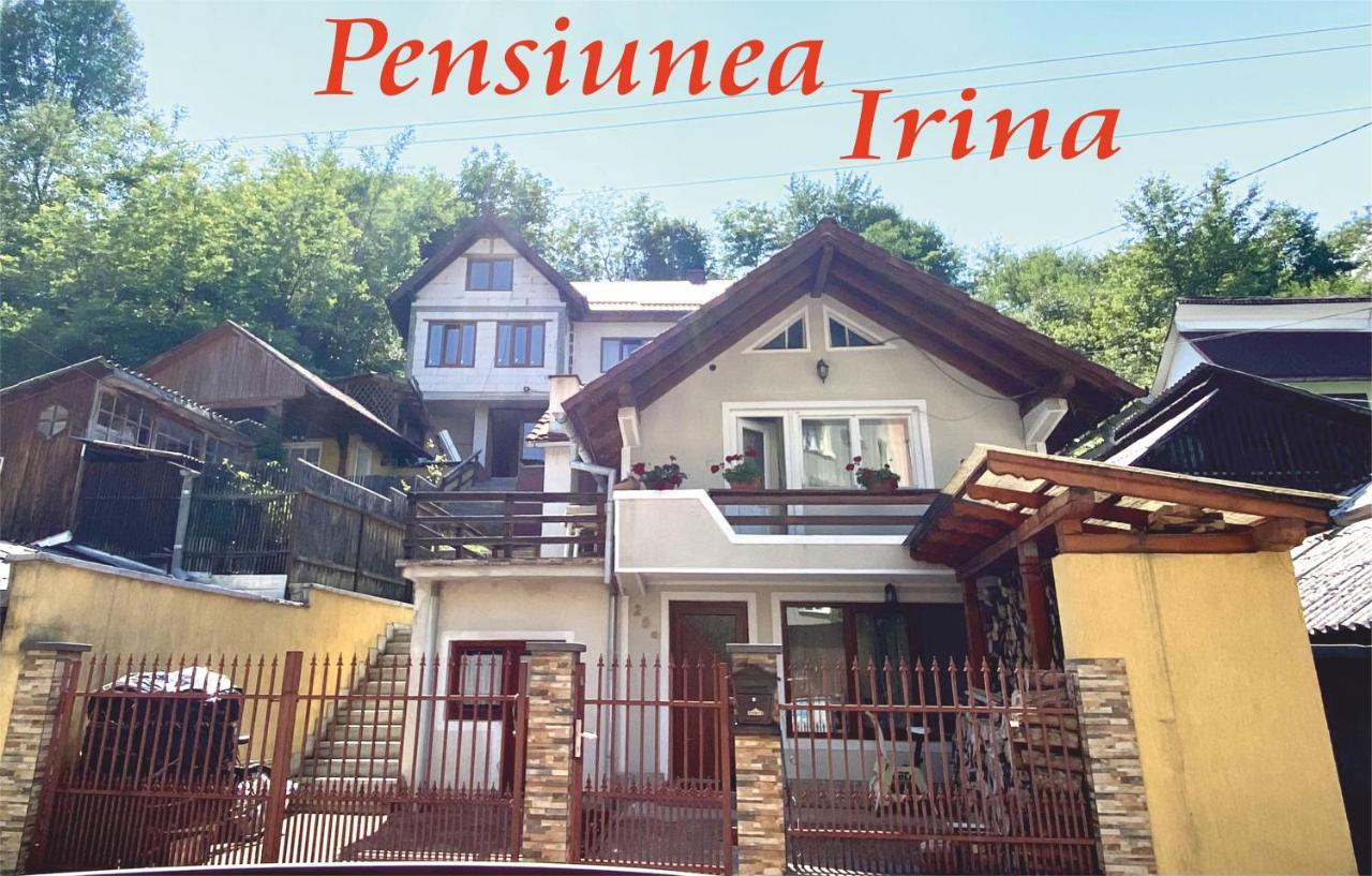 Pensiunea Irina Sângeorz-Băi Exterior foto